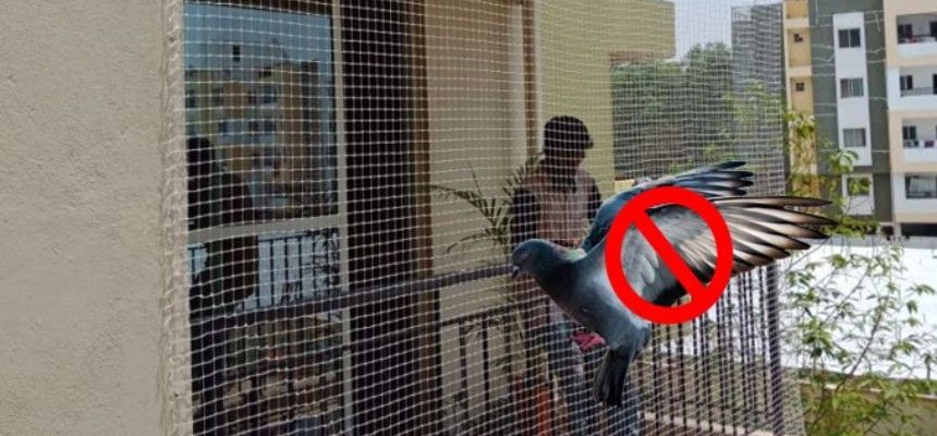 Pigeon Safety Nets in Pune