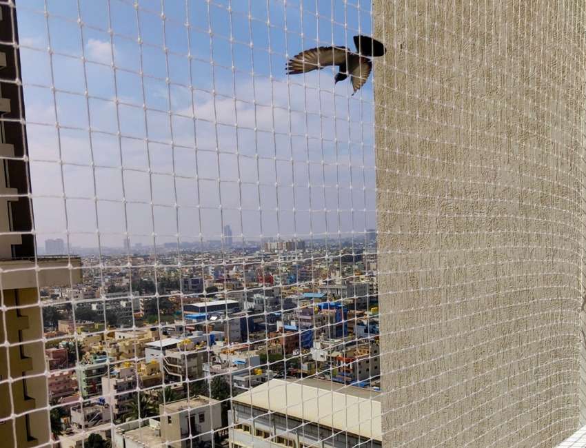 Pigeon Nets Installation Near Me in Pune